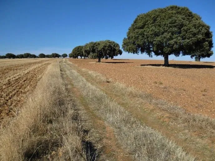 Route afbeelding slider