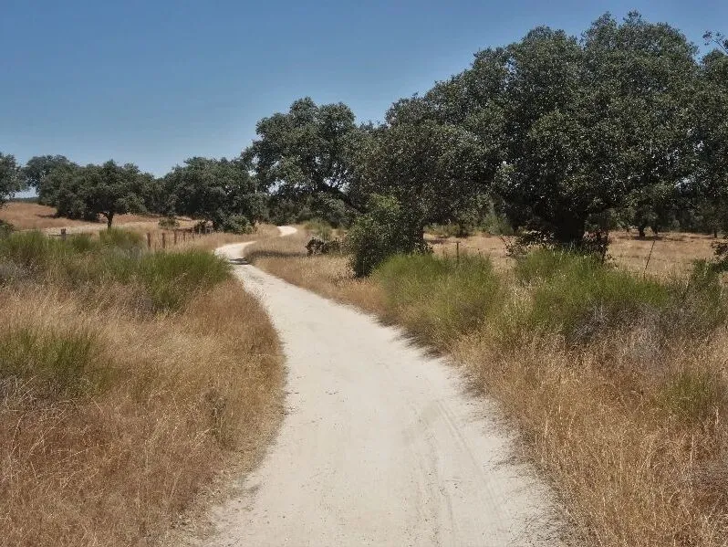 Route afbeelding slider