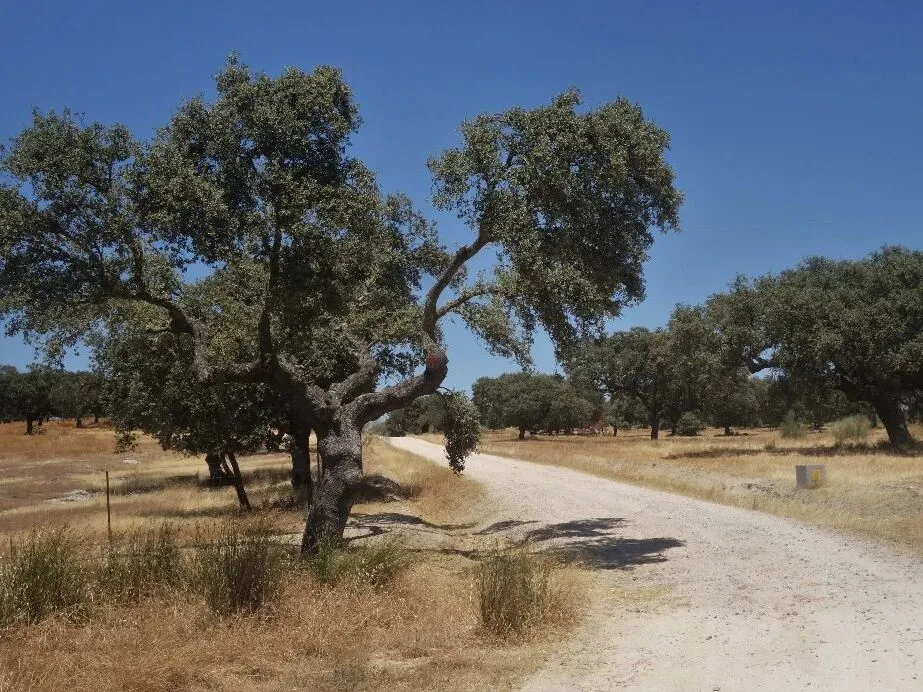 Route afbeelding slider