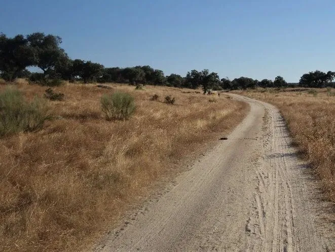 Route afbeelding slider