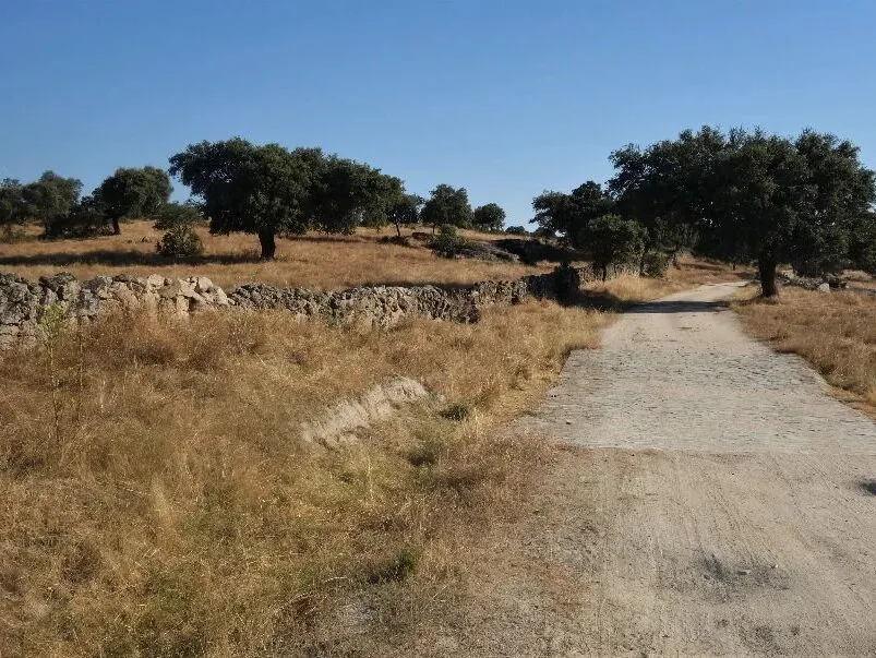 Route afbeelding slider