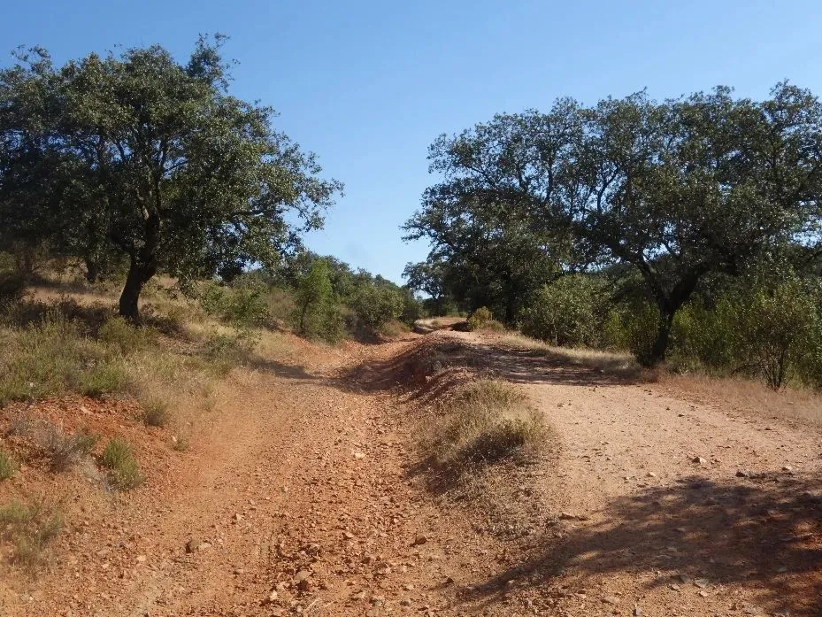 Route afbeelding slider