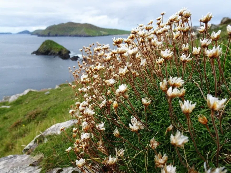 Route afbeelding slider