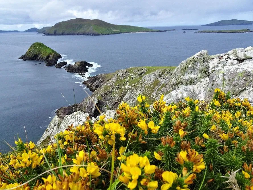 Route afbeelding slider