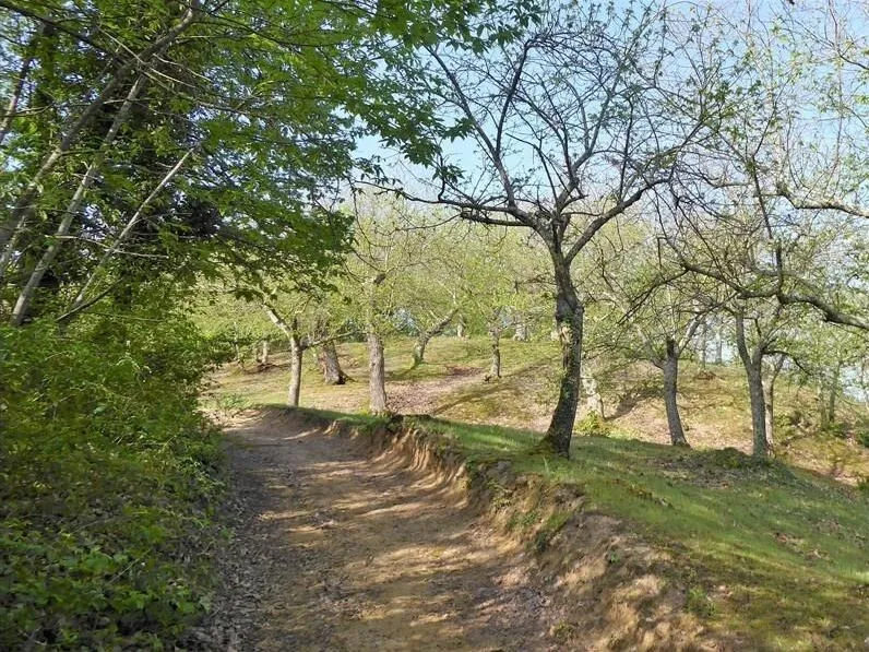 Route afbeelding slider