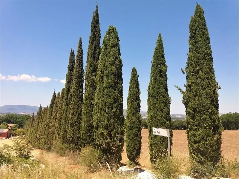 Route afbeelding slider