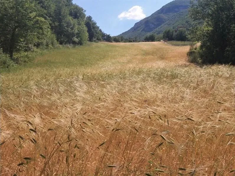 Route afbeelding slider