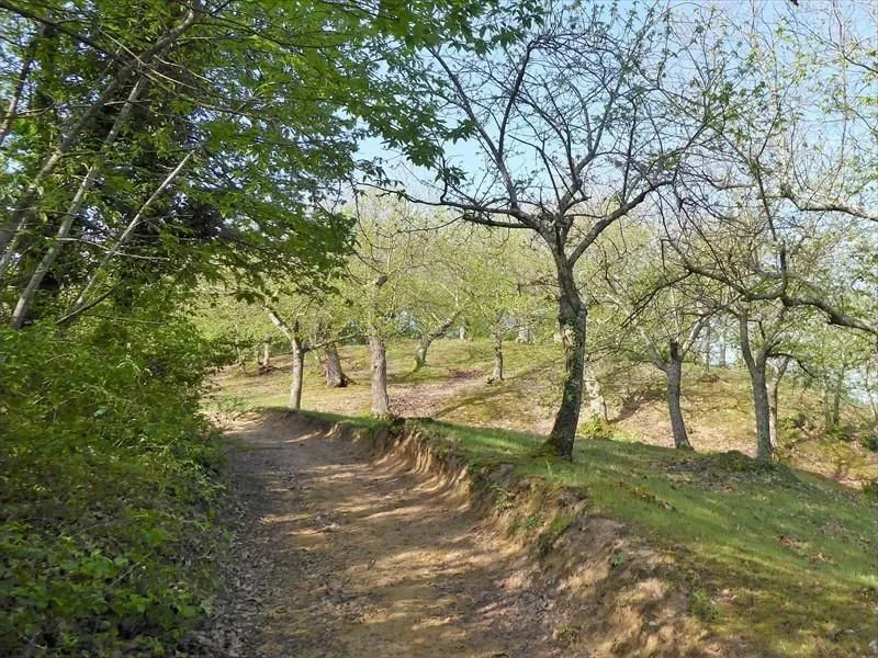 Route afbeelding slider