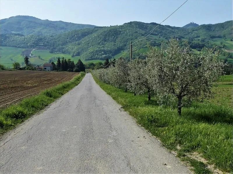 Route afbeelding slider