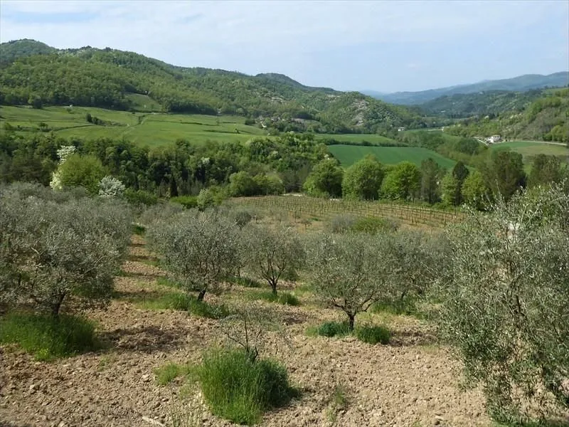 Route afbeelding slider