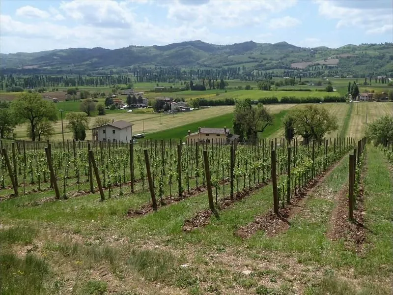 Route afbeelding slider