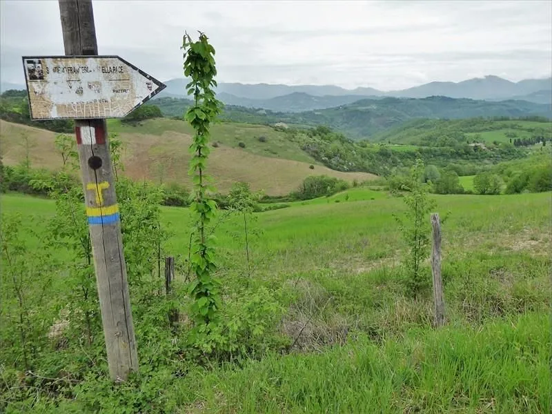 Route afbeelding slider