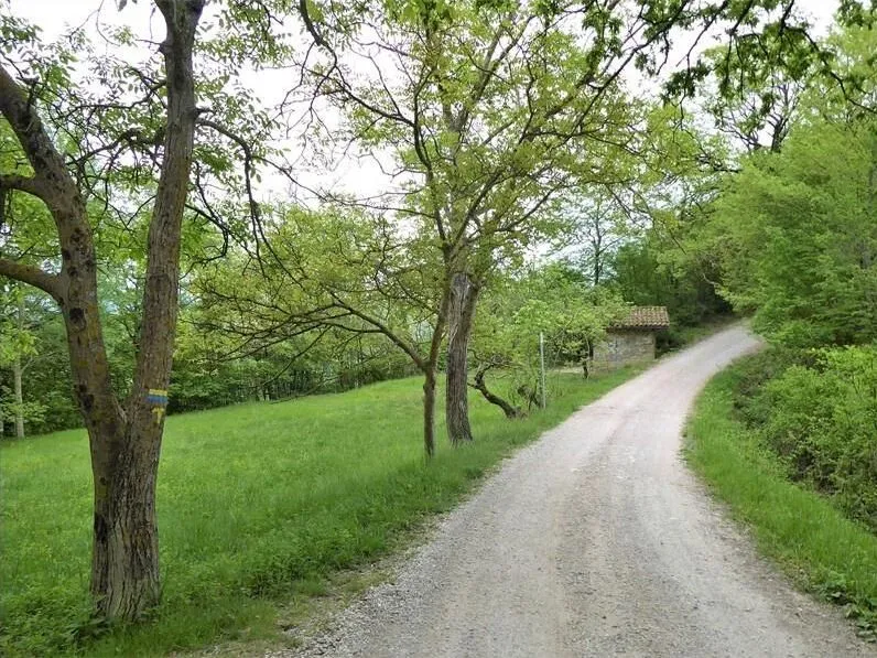 Route afbeelding slider