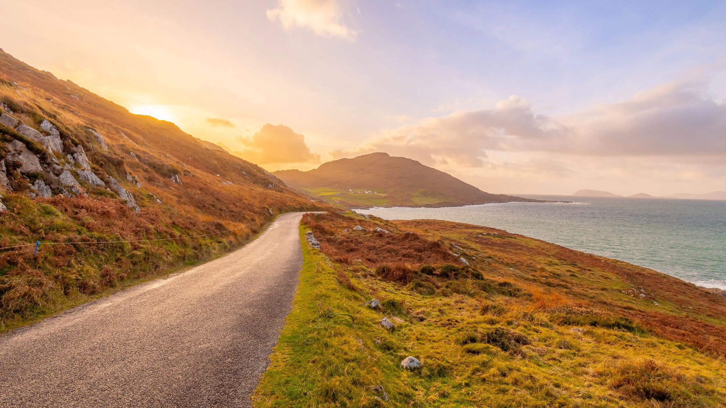 Full width afbeelding 1