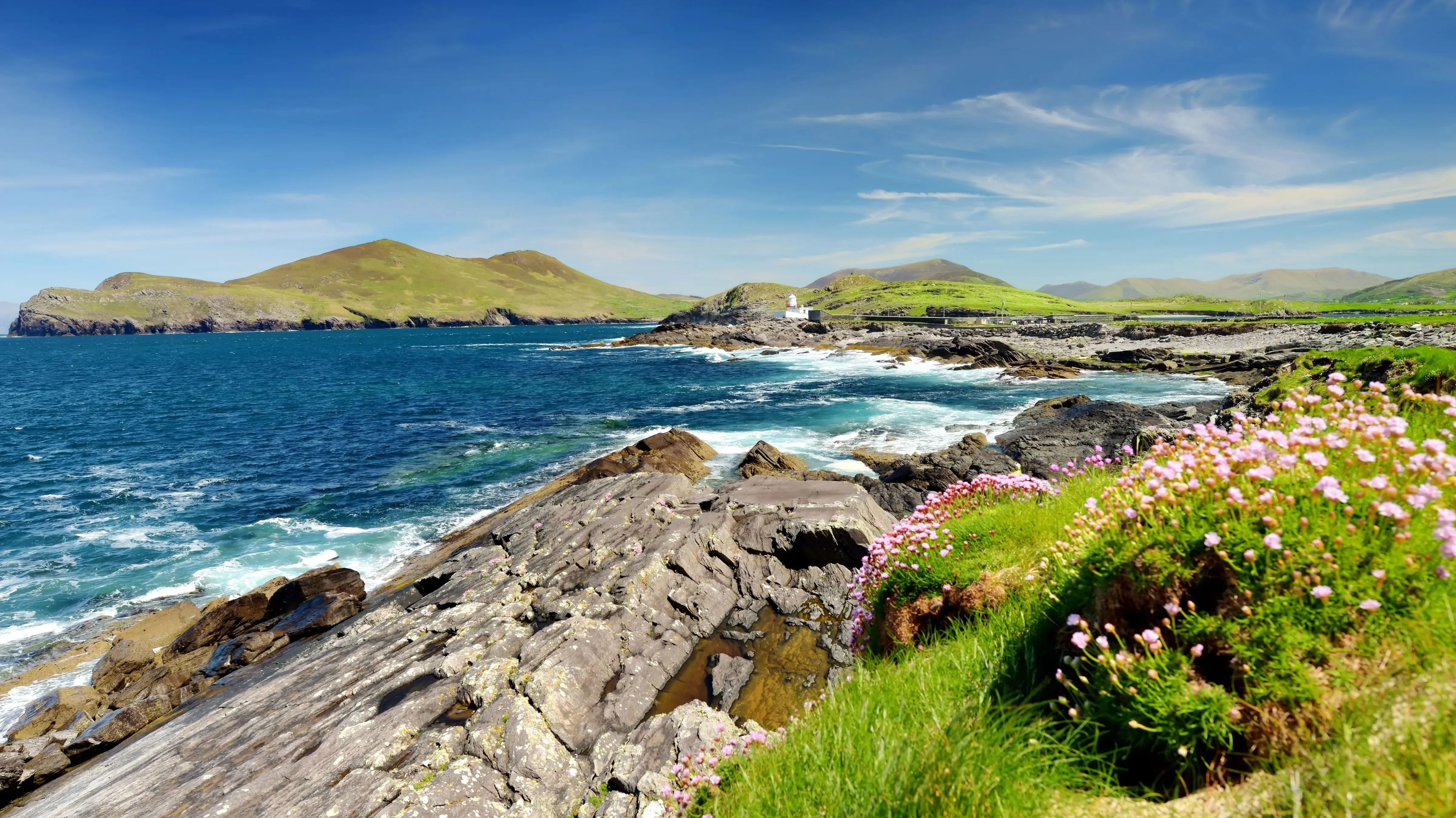 Full width afbeelding 1