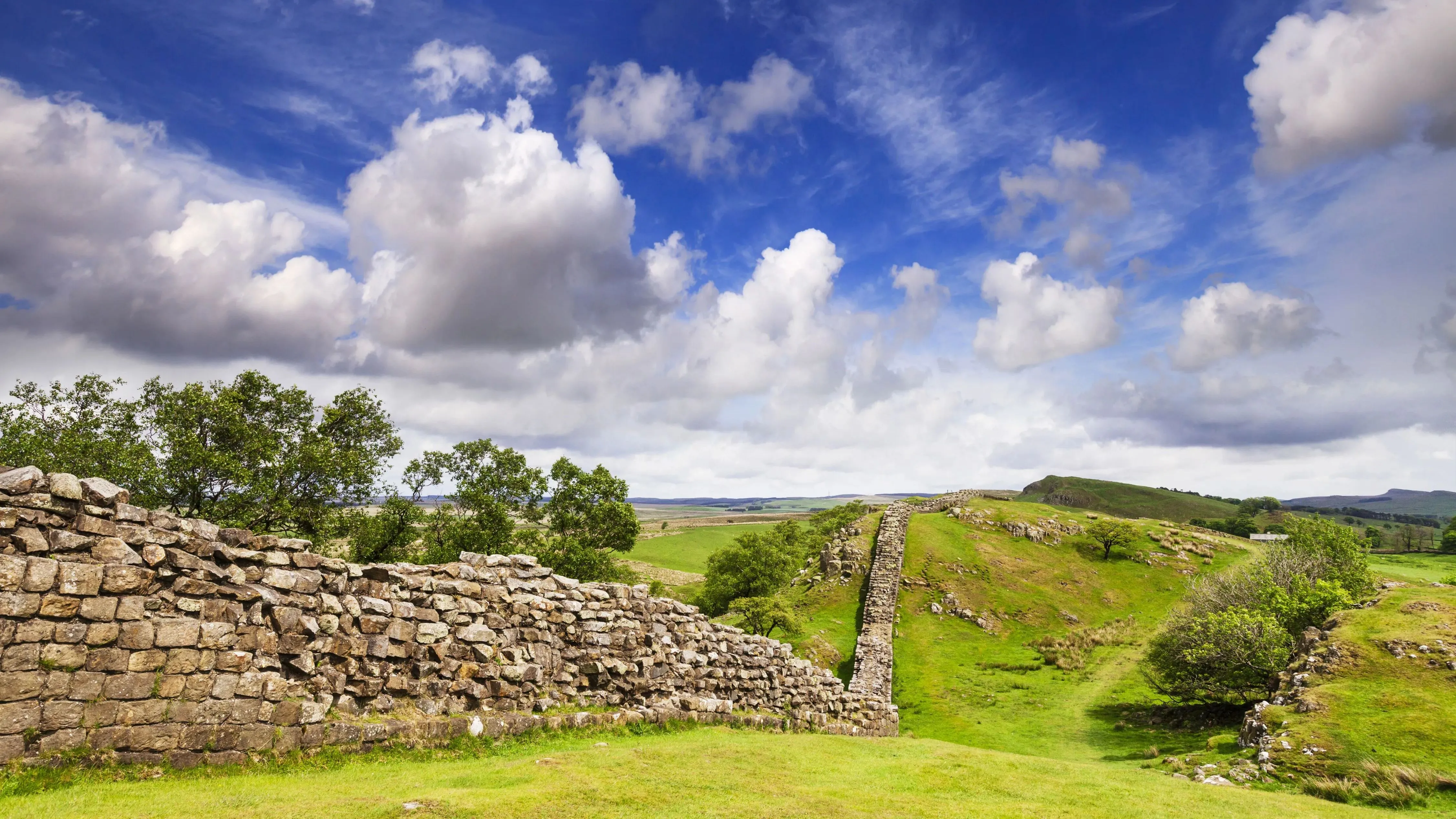 Full width afbeelding 1