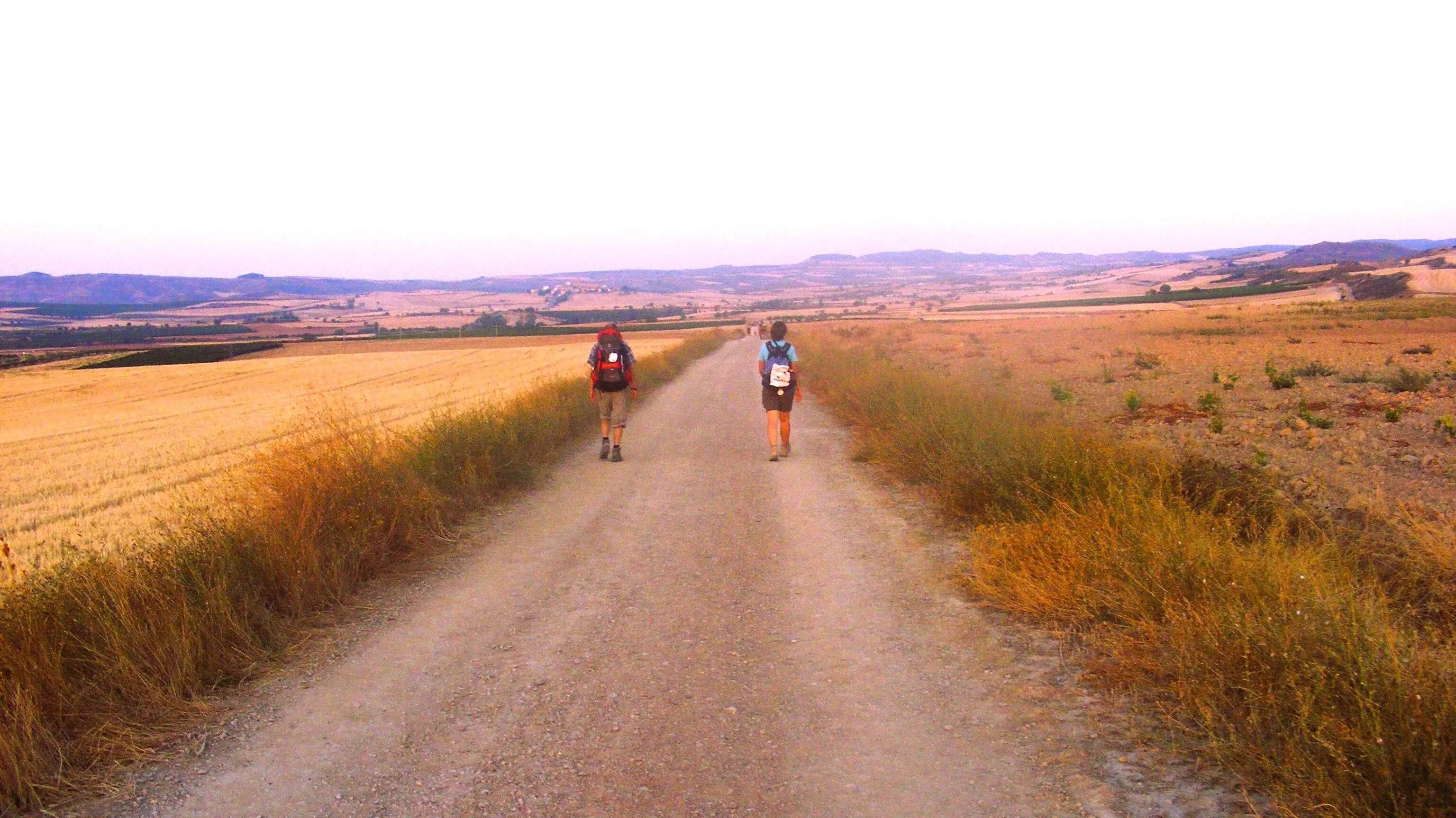 Full width afbeelding 1