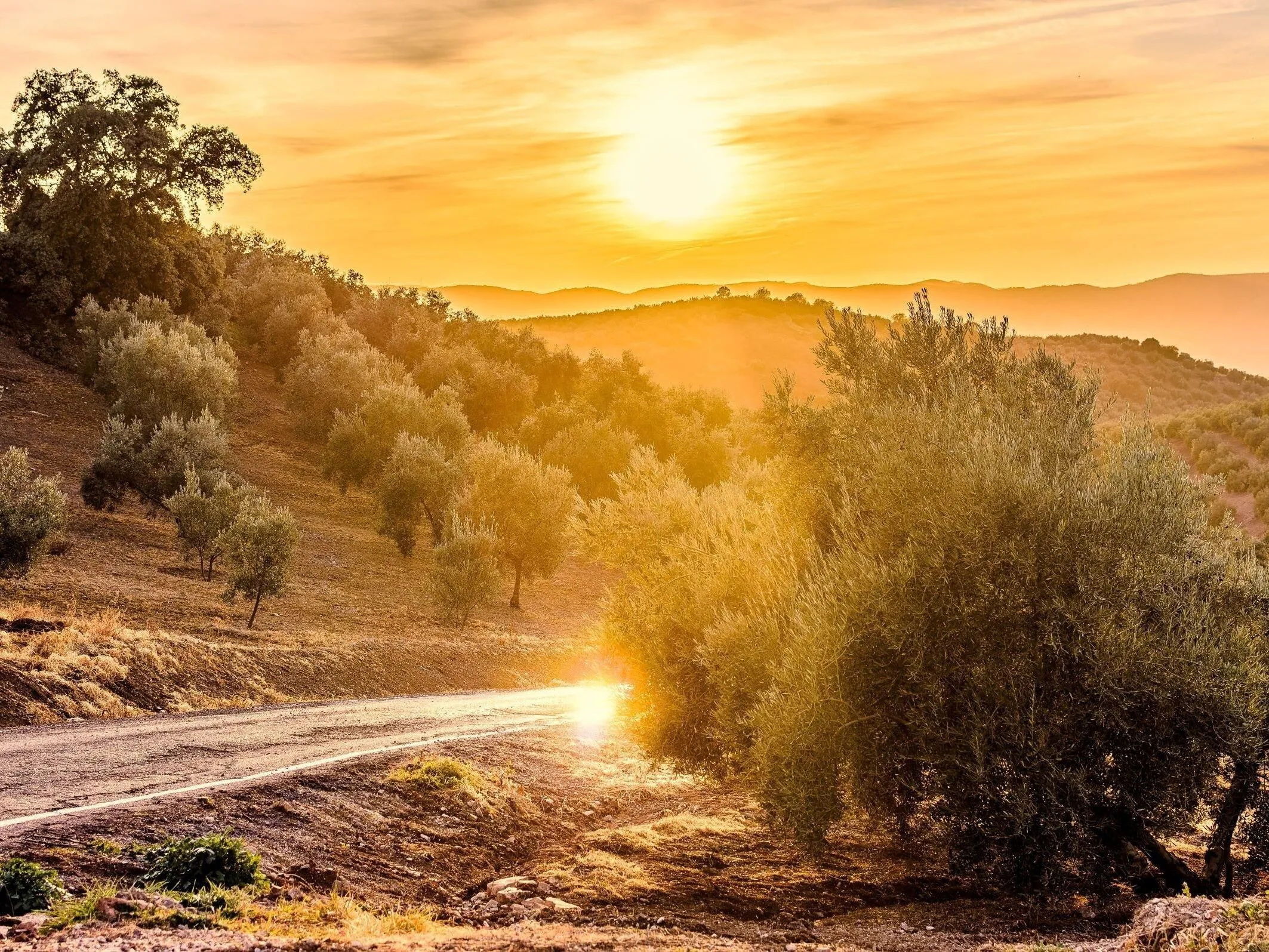 Route afbeelding slider