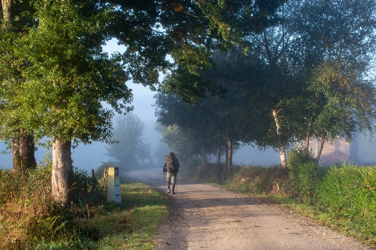 Camino Ingles route afbeelding