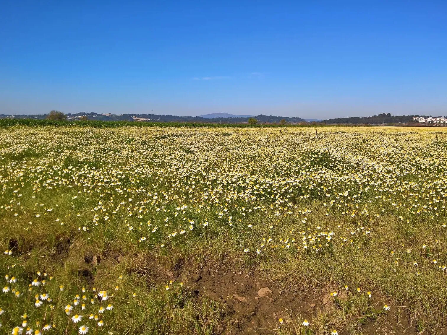 Route afbeelding slider