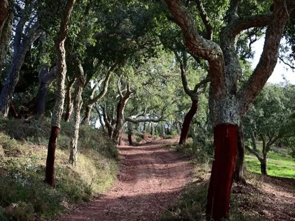 Route afbeelding slider