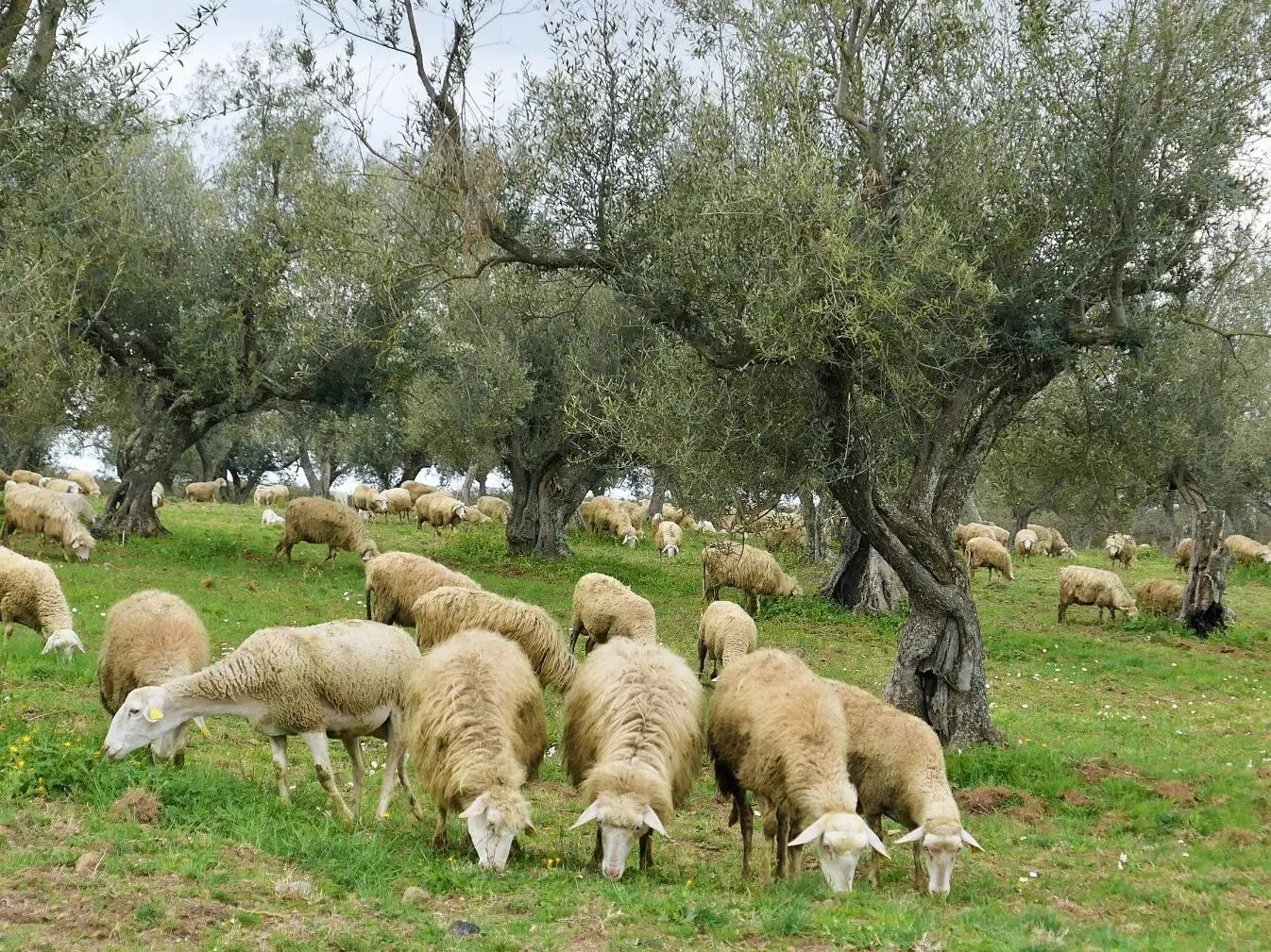 Route afbeelding slider