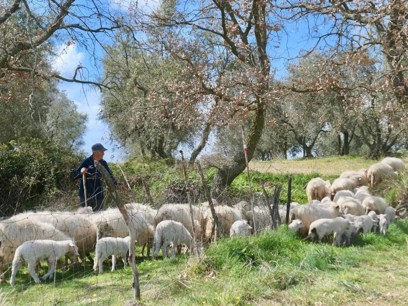 Route afbeelding slider