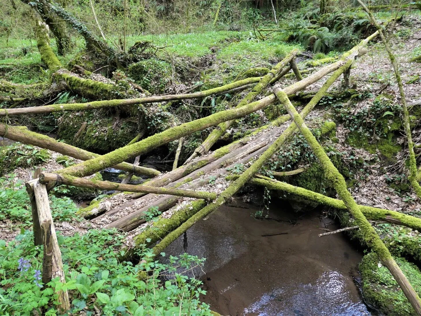 Route afbeelding slider