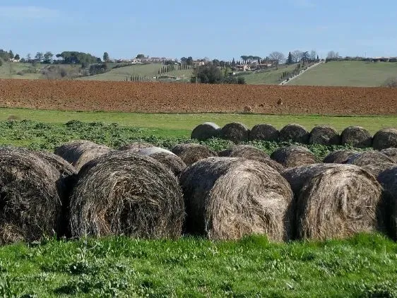 Route afbeelding slider