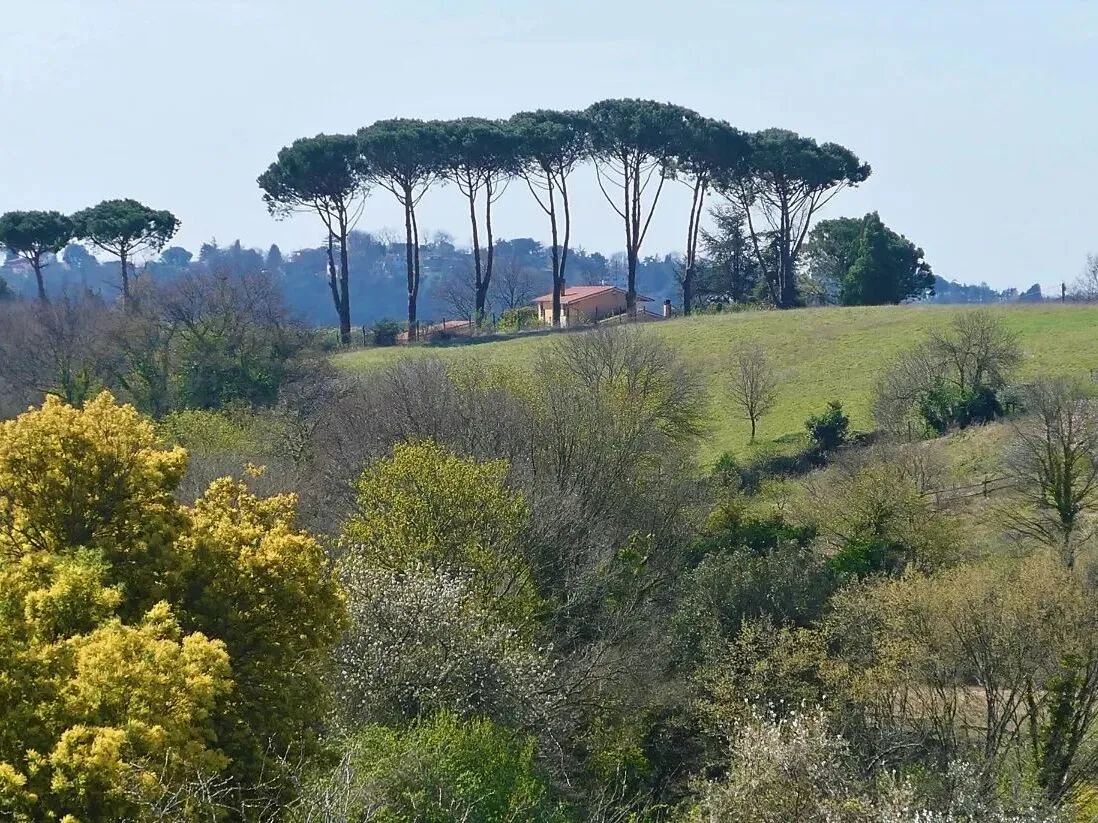 Route afbeelding slider