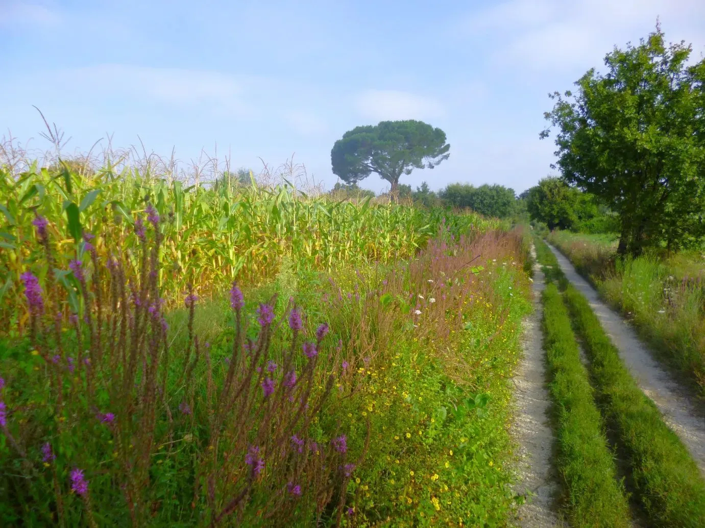 Route afbeelding slider