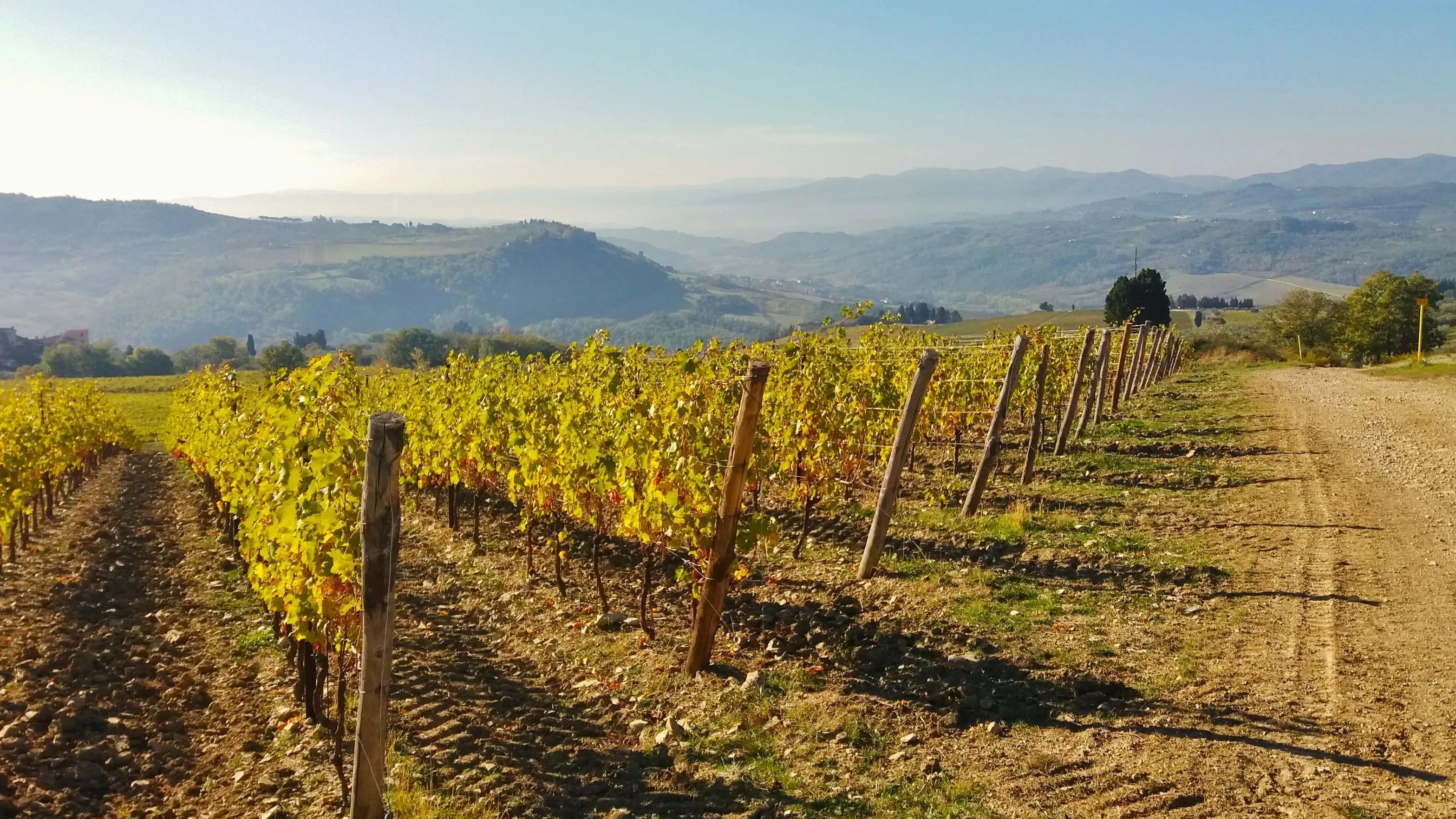 Full width afbeelding 1