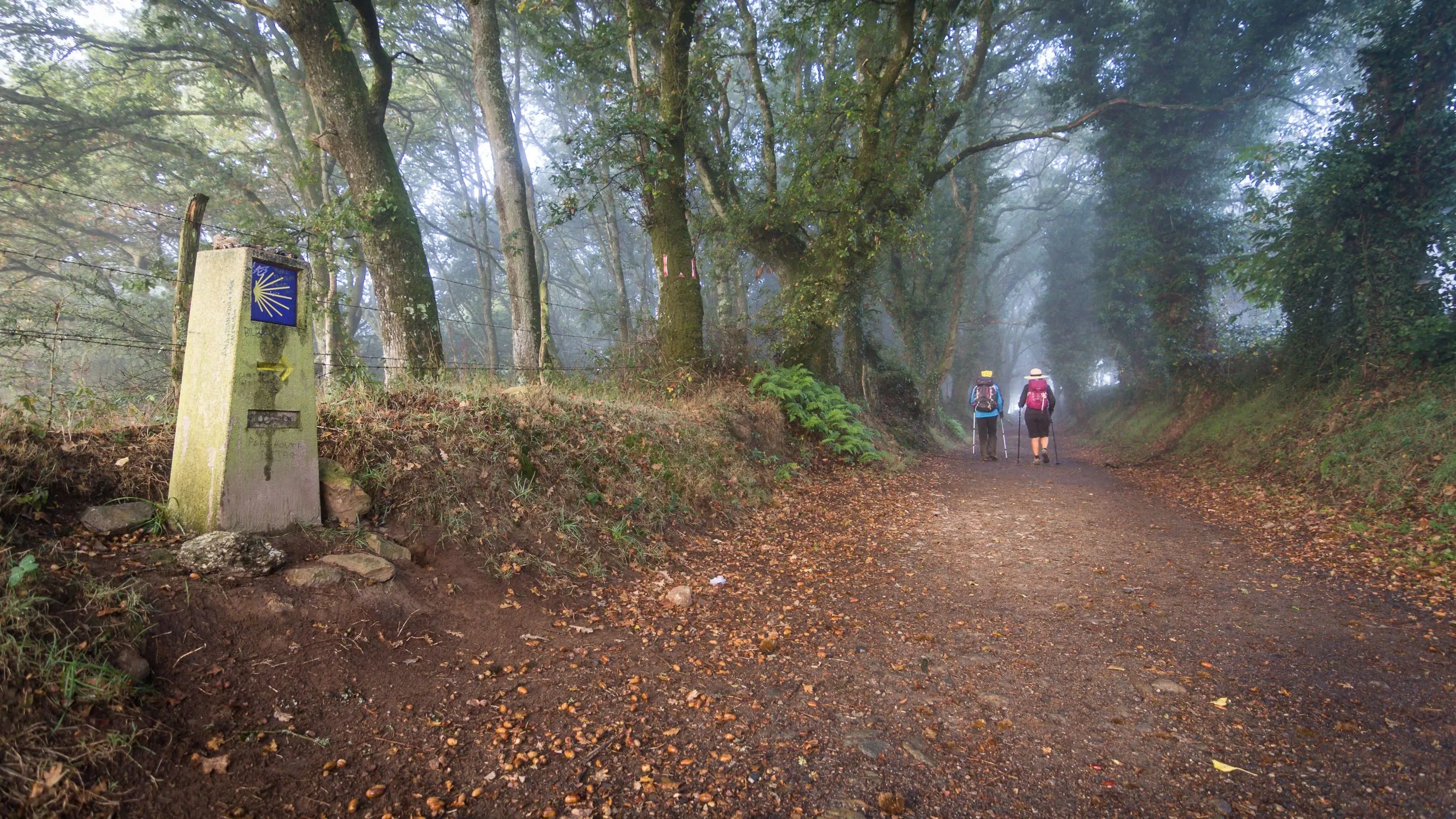 Full width afbeelding 1