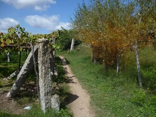 Route afbeelding slider