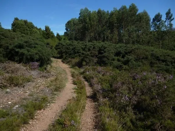 Route afbeelding slider