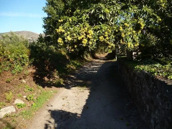 Route afbeelding slider