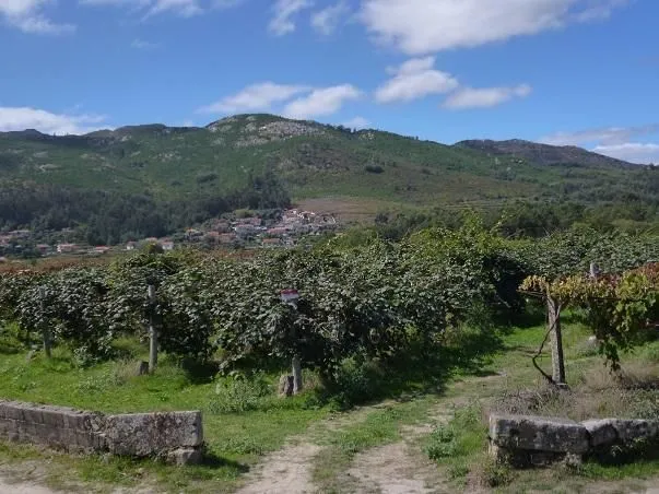 Route afbeelding slider