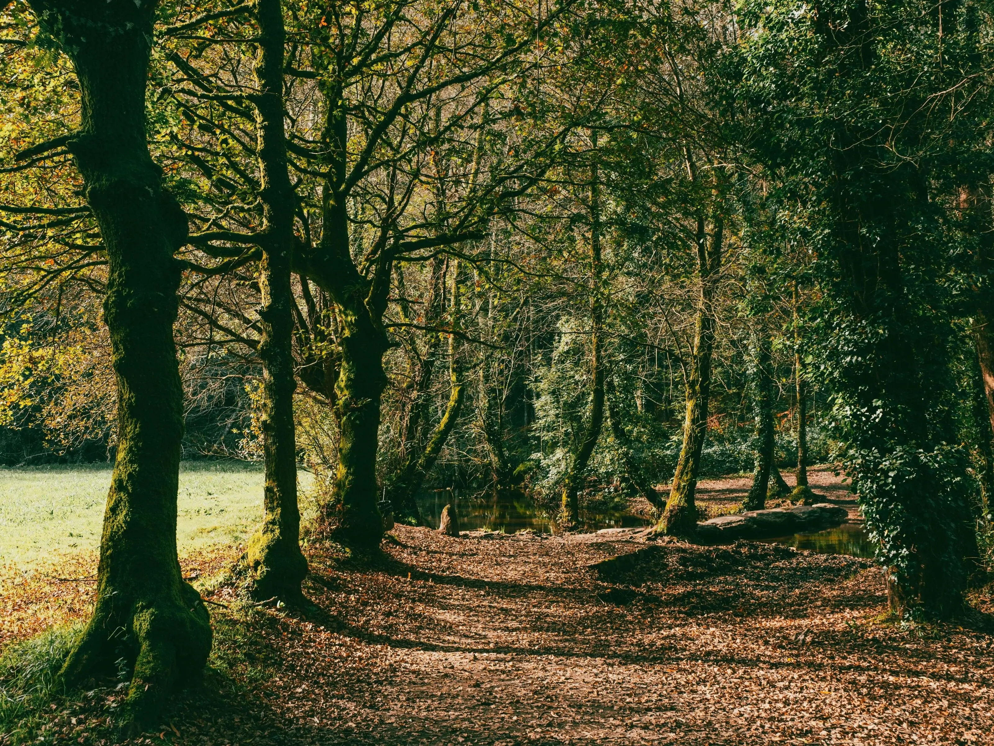 Route afbeelding slider