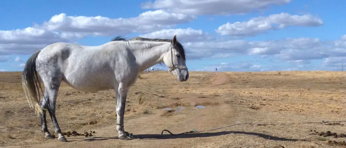 Caceres – Salamanca route afbeelding