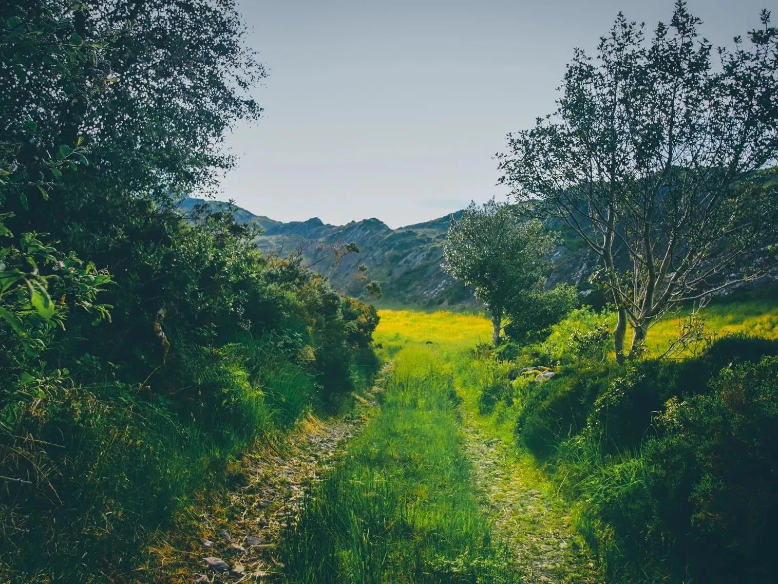 Route afbeelding slider