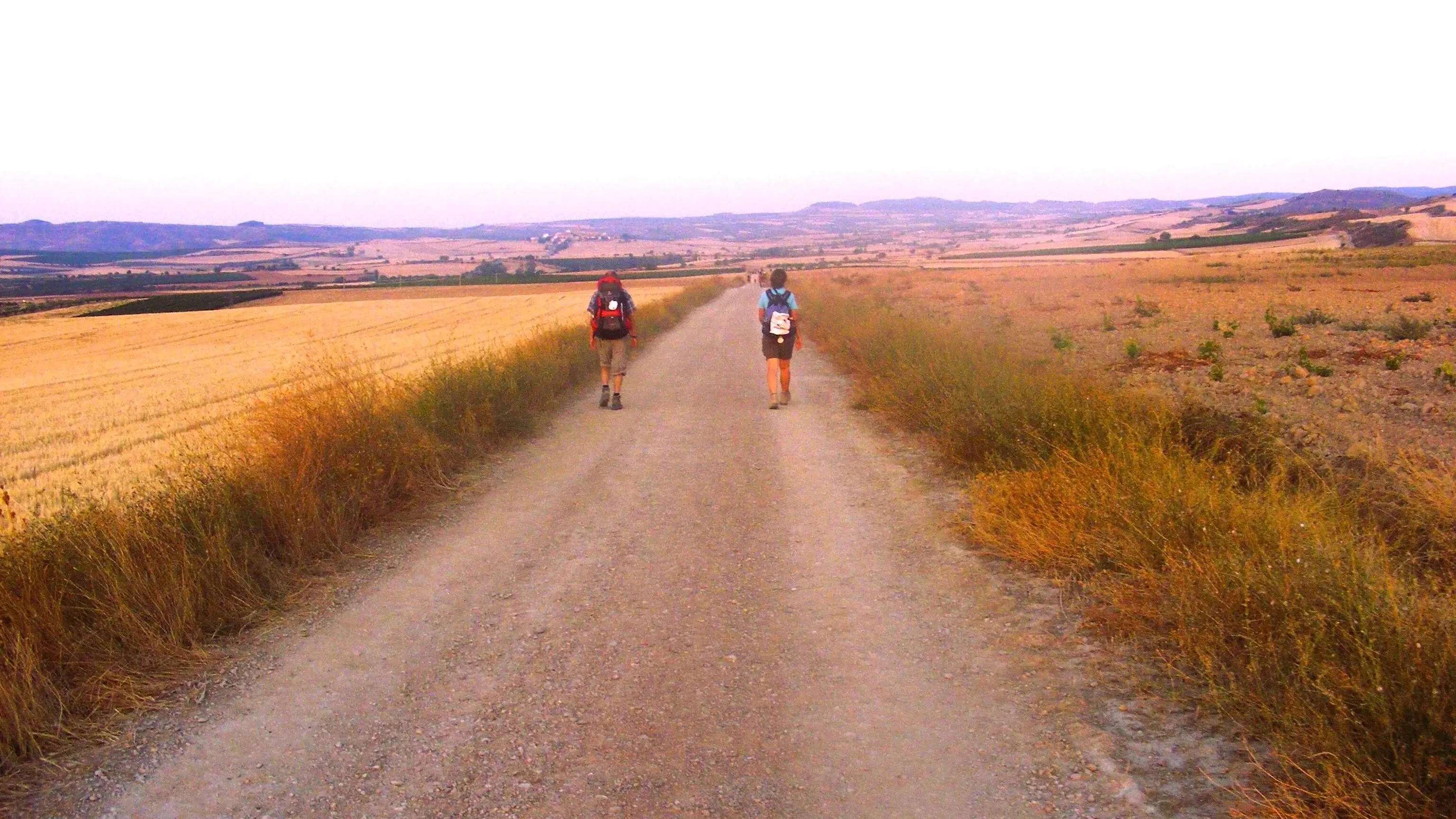 Full width afbeelding 1