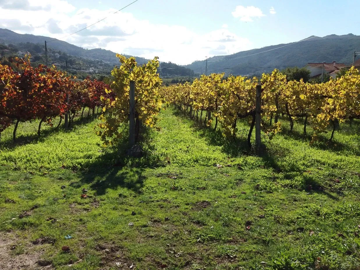 Route afbeelding slider