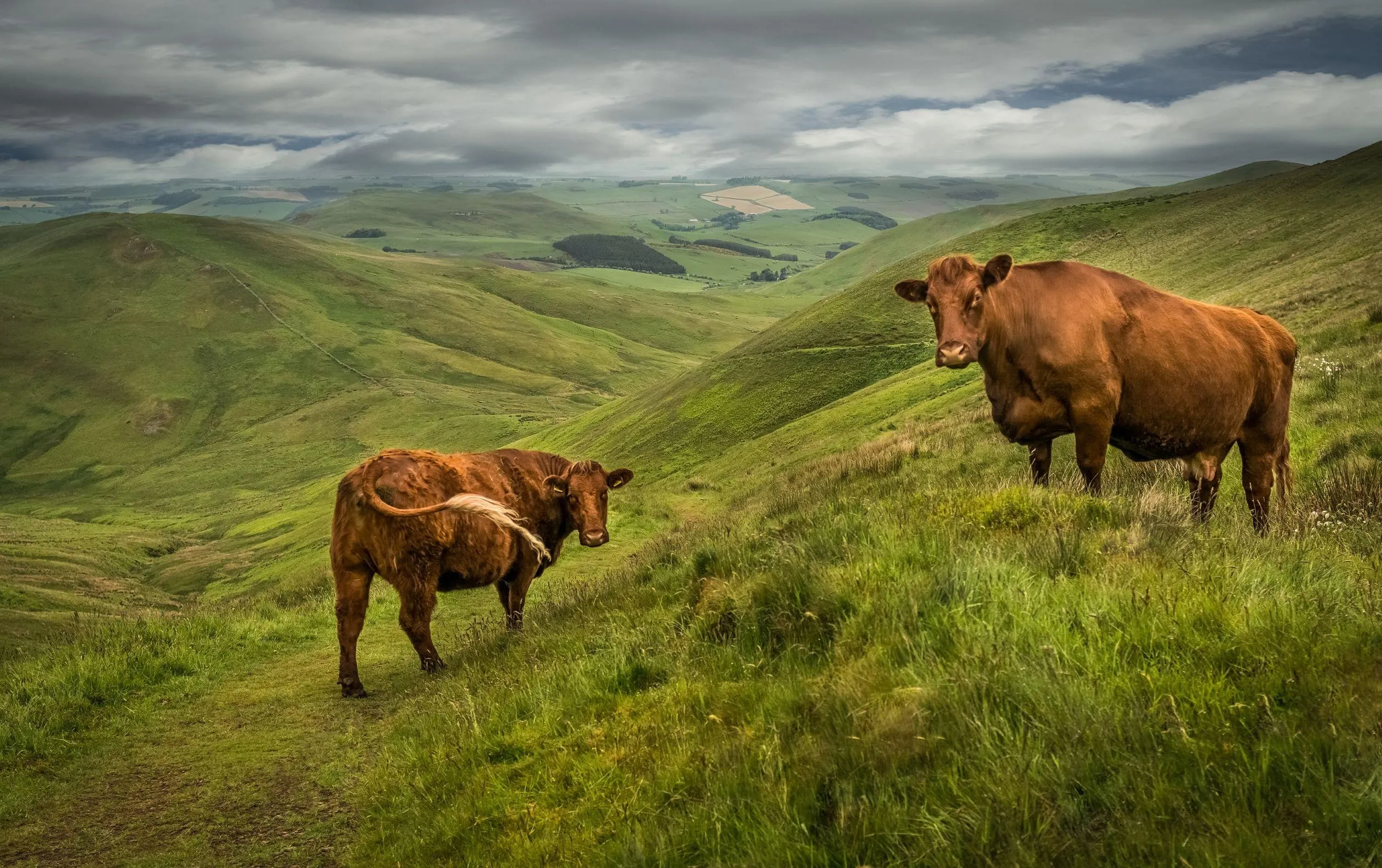 Route afbeelding slider