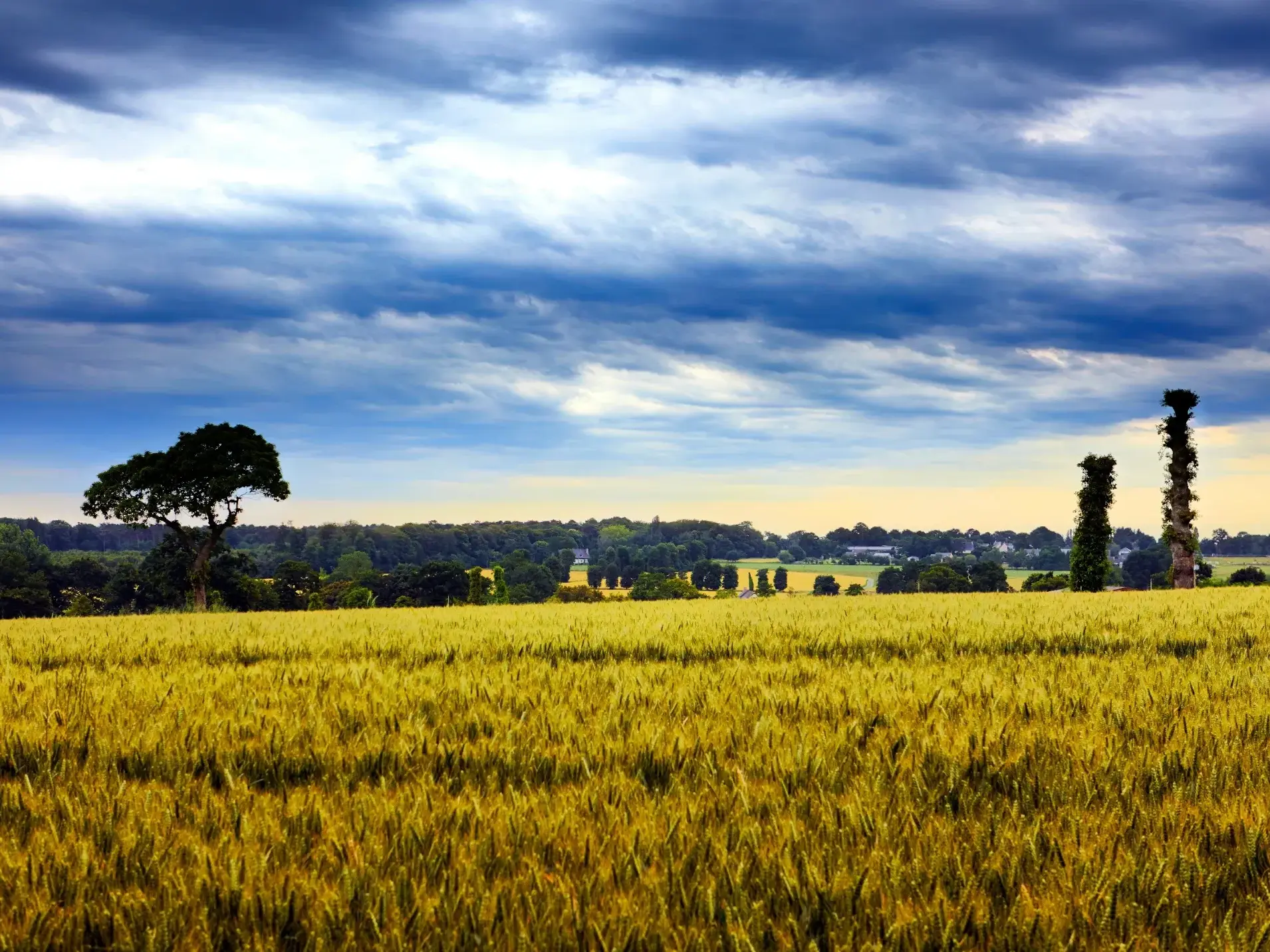 Route afbeelding slider