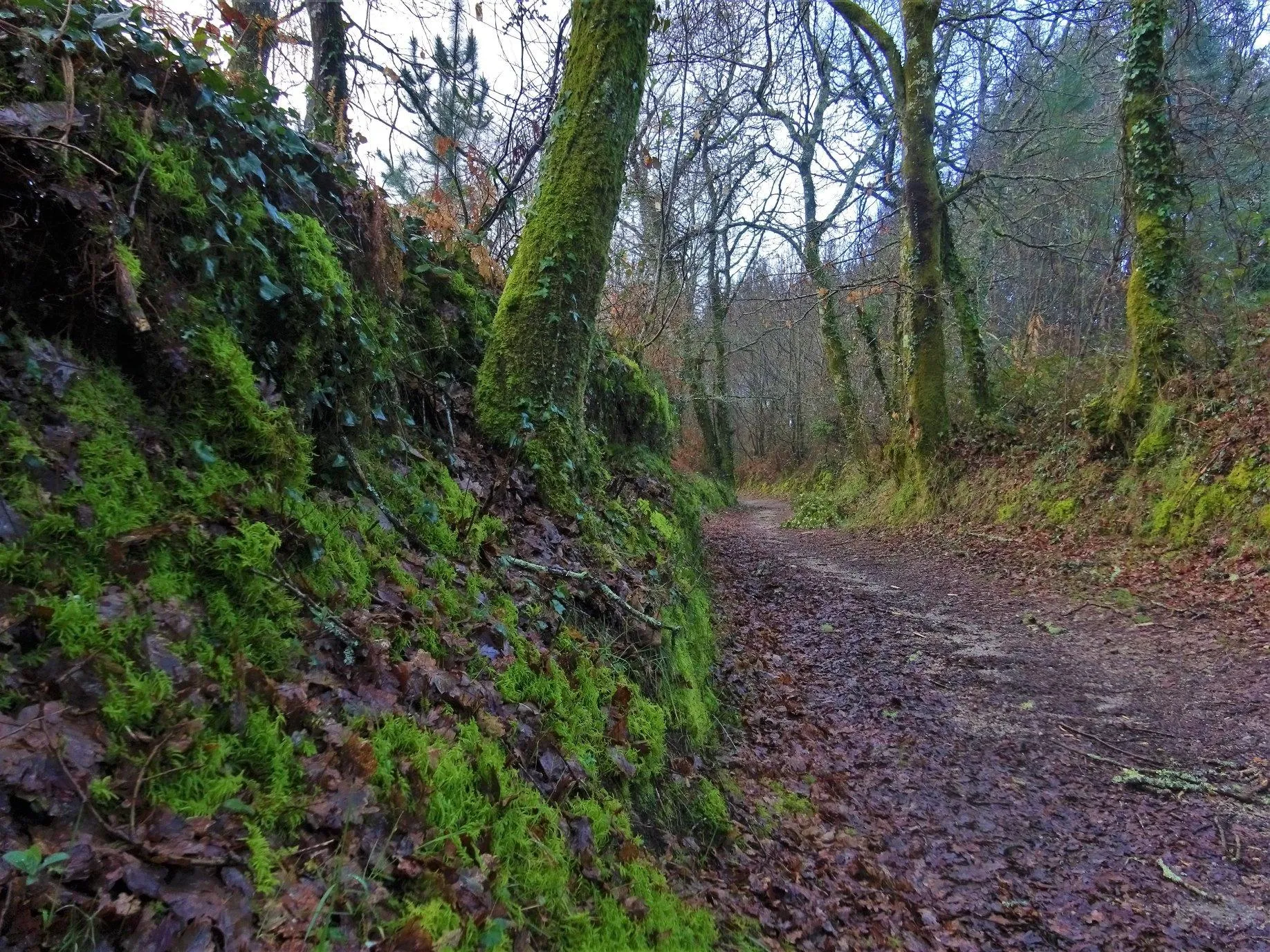 Route afbeelding slider