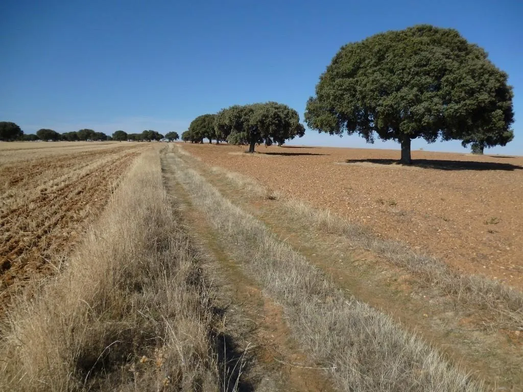 Caceres – Salamanca - fietsreis route afbeelding