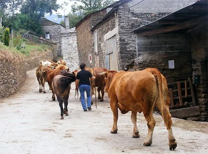 Route afbeelding slider