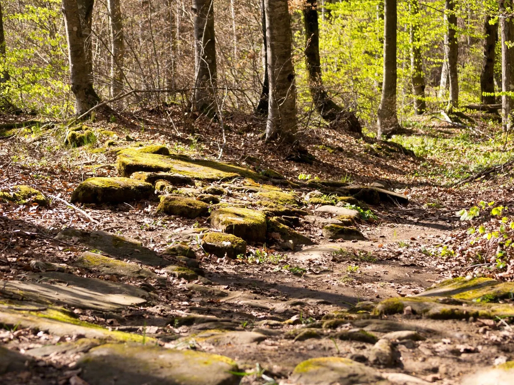 Route afbeelding slider