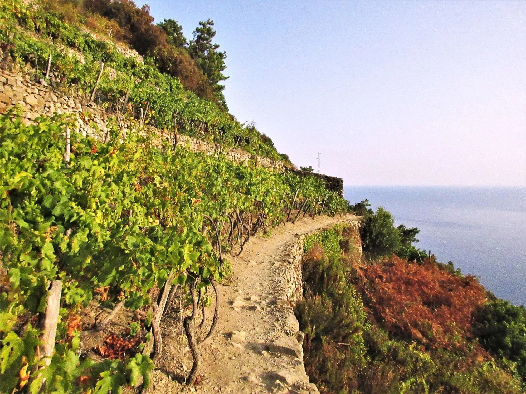 Route afbeelding slider