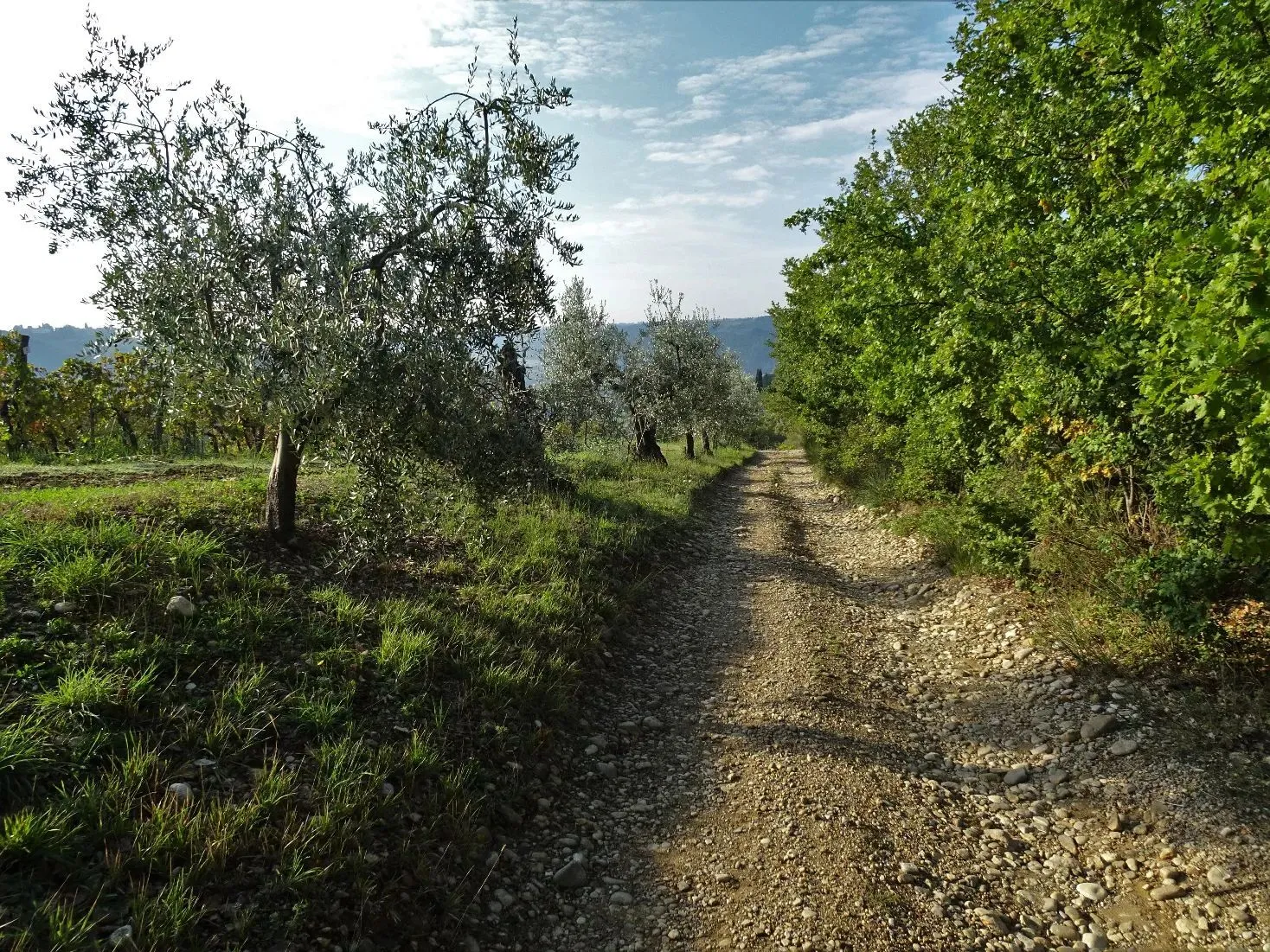 Route afbeelding slider